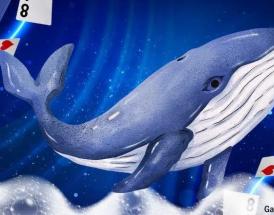balena poker